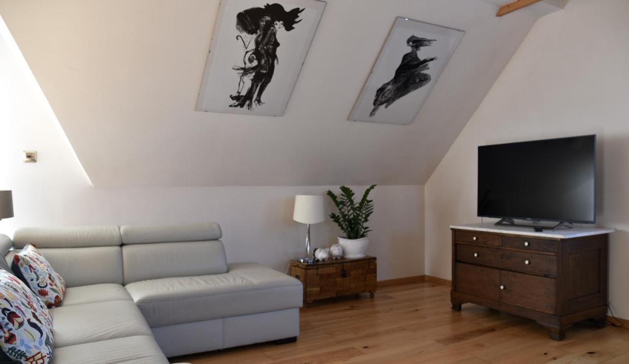Vip Apartment In Mogilany Close To Krakow Air Con Wlan Highspeed 外观 照片